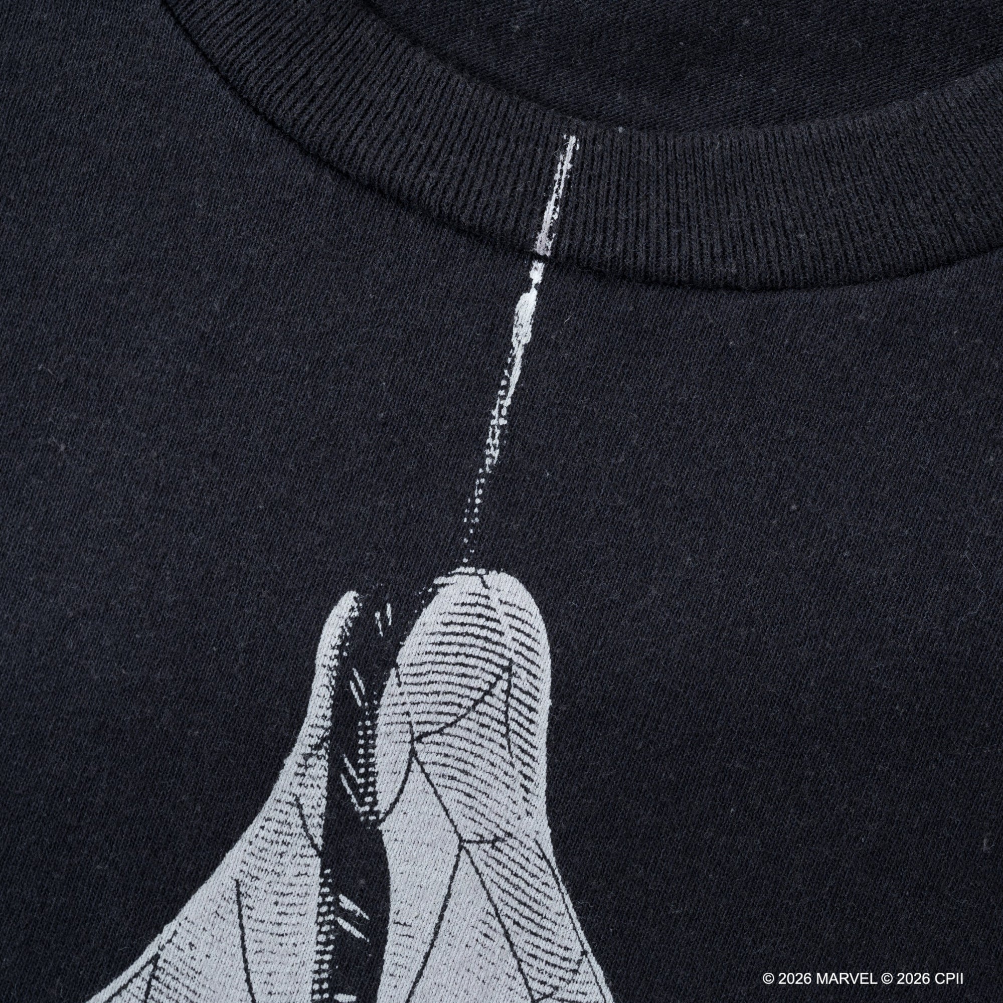 Spider-Man Photo /Tee