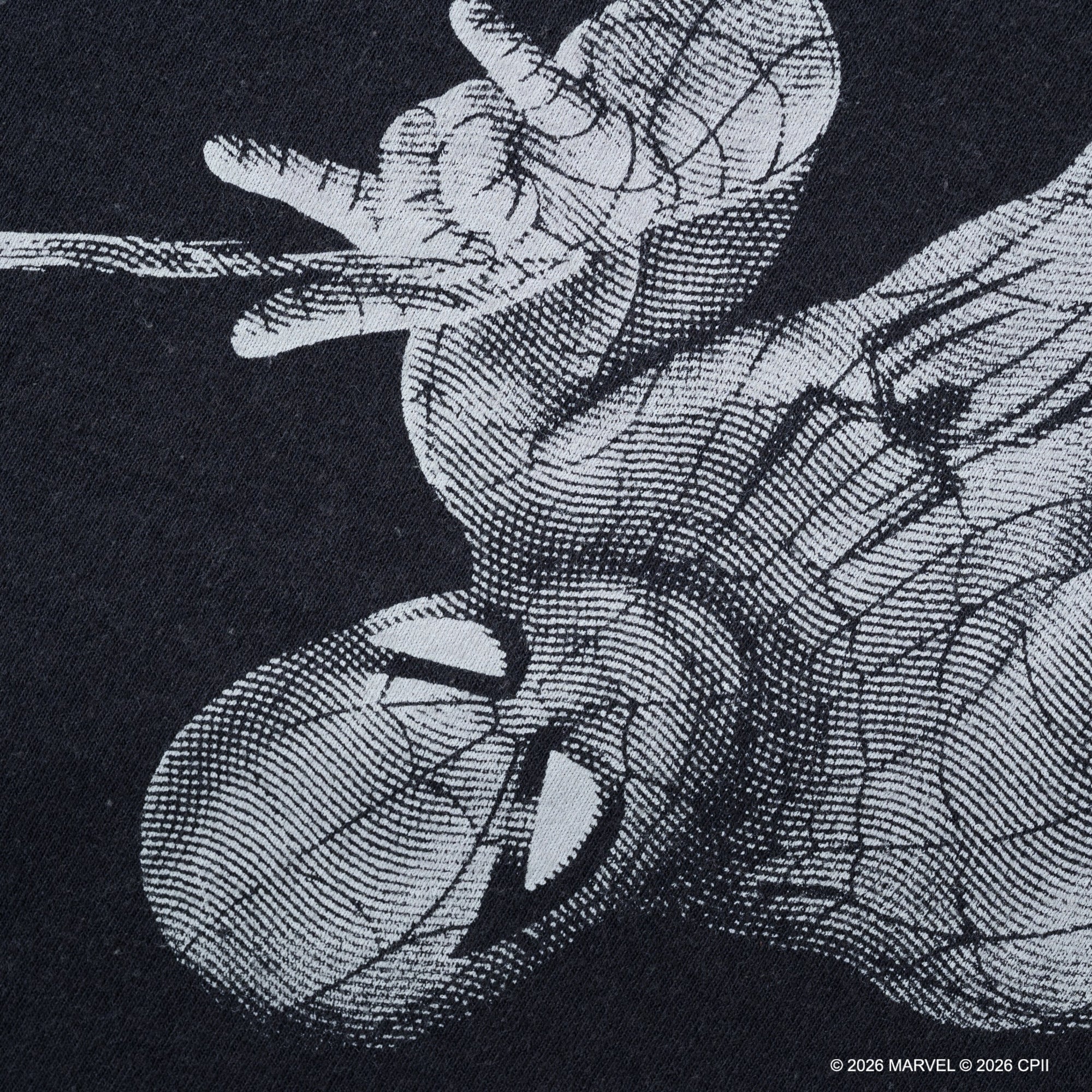 Spider-Man Photo /Tee