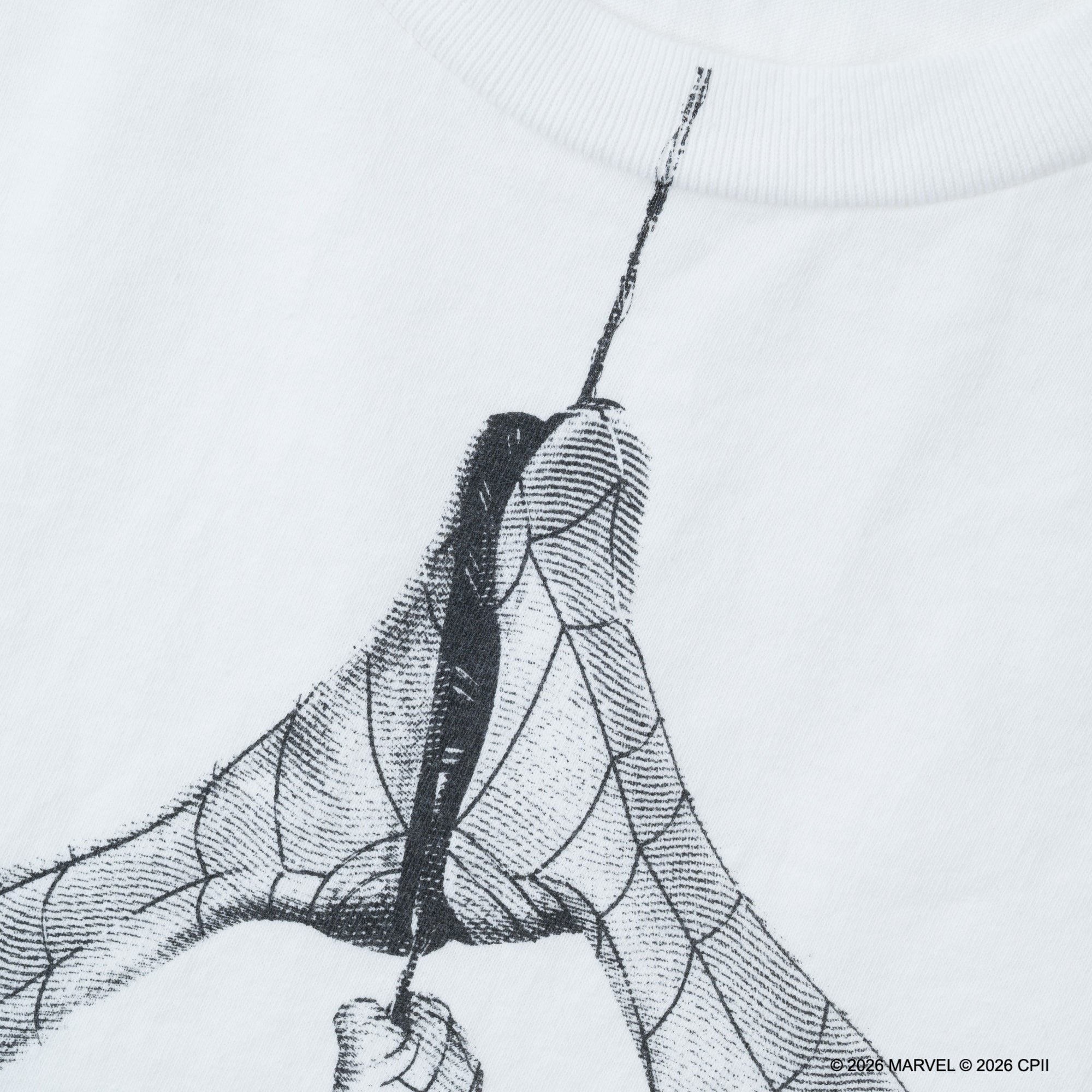 Spider-Man Photo /Tee