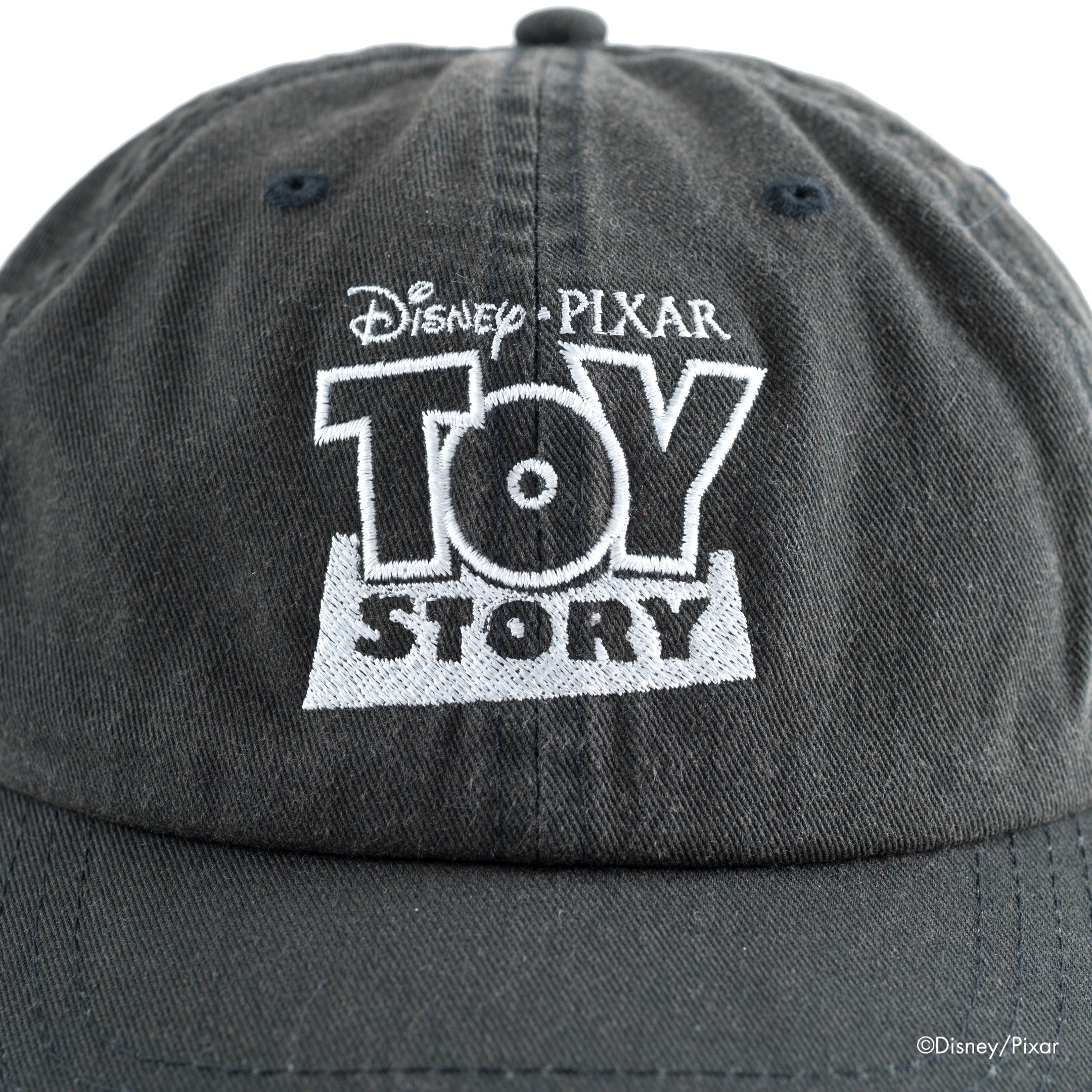 TOY STORY logo#1 /Cap | VARIEGATOR